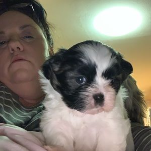 Meet your Posher, Maryellen